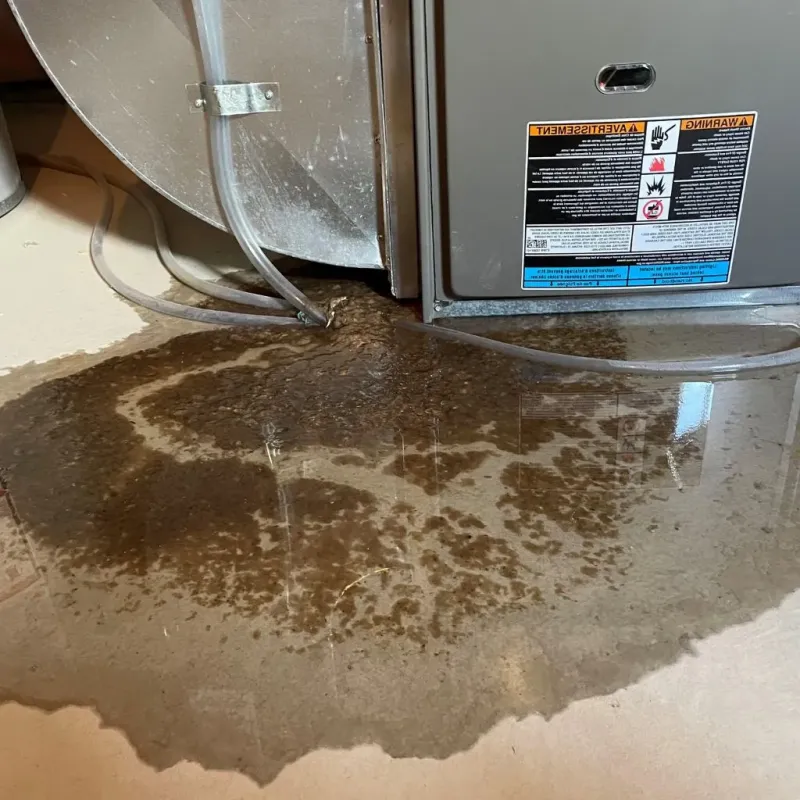 Pipe Burst and Leak Restoration in Russell, KS